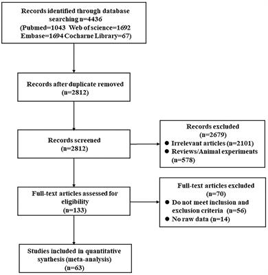 Frontiers | Meta-Analysis of Neurochemical Changes Estimated via 